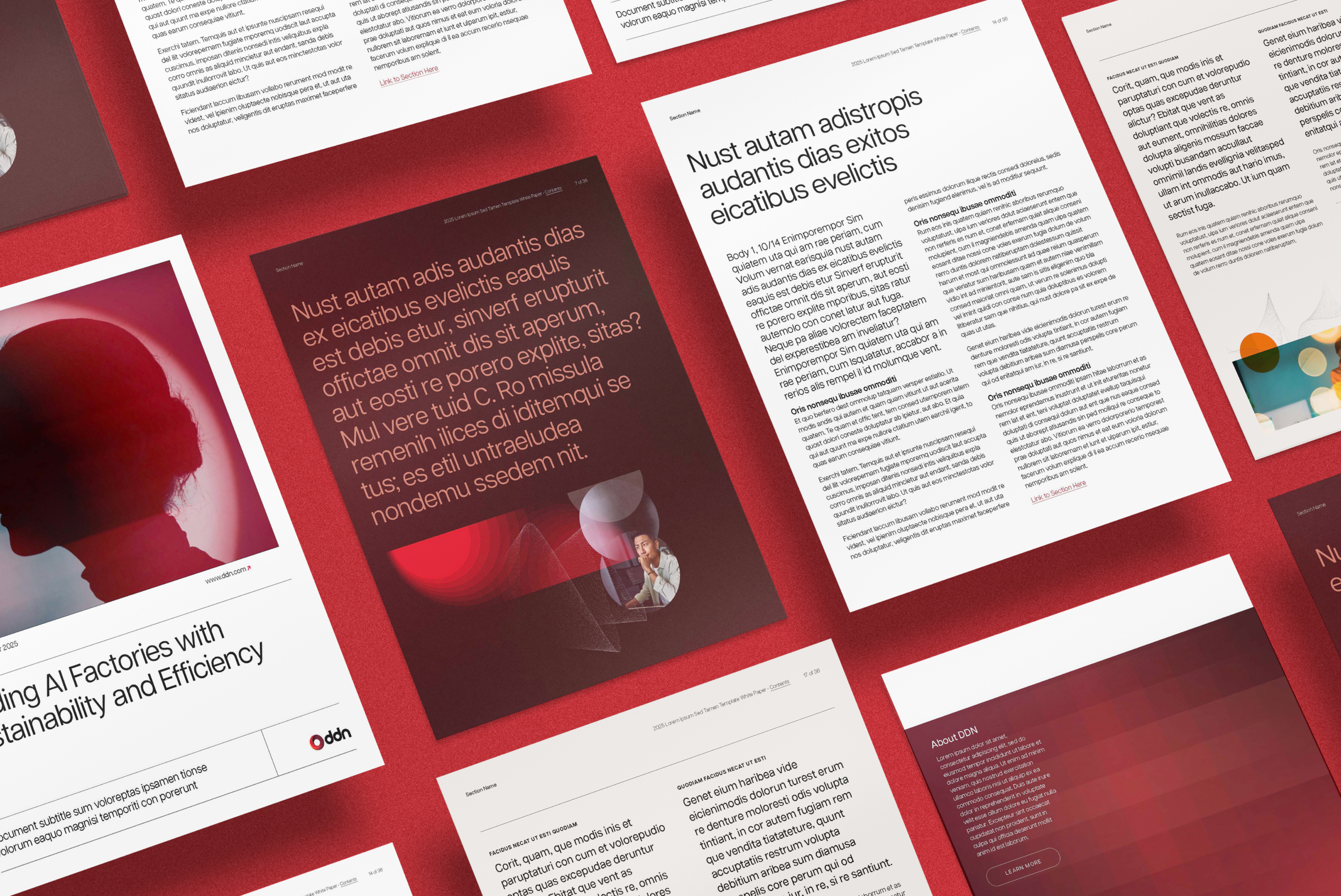 DDNL2 Builder New Relic2 1